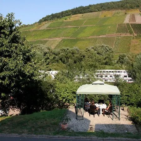 „schwalbennest“ Reil/mosel Apartment Reil