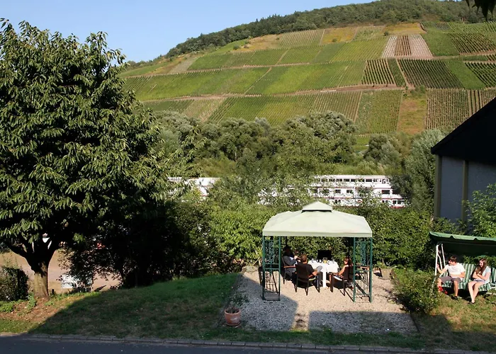 „schwalbennest“ Reil/mosel شقة رايل